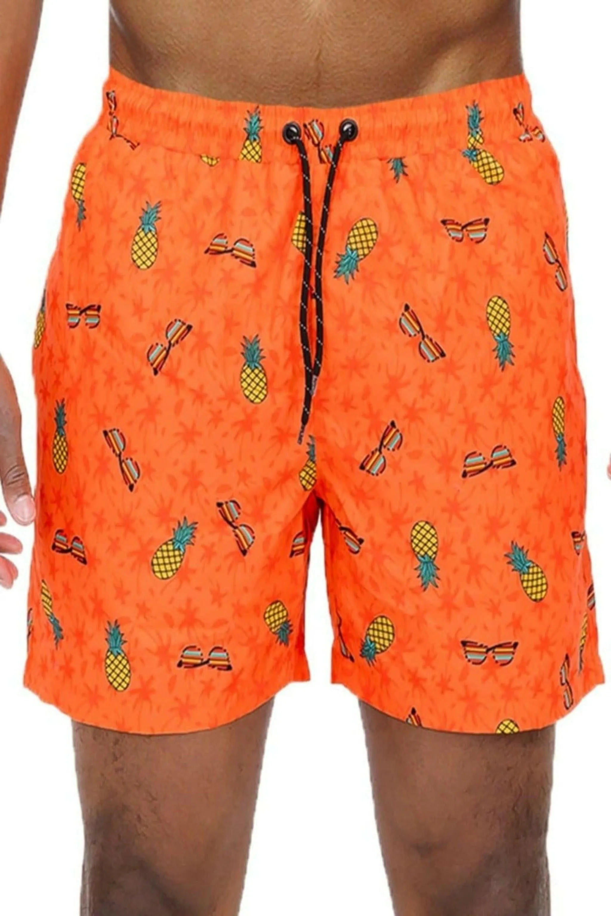 Pineapple Brief Tropical Print Swimwear